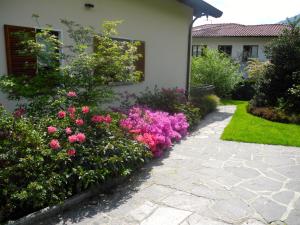Zahrada ubytování Casa Meraviglia