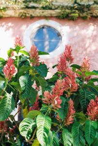 A garden outside La Toscana