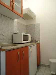 a small kitchen with a microwave on the counter at Apartments Vila San in Kamenari +19 photos