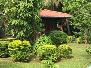 Taman di luar Liyon Rest sigiriya