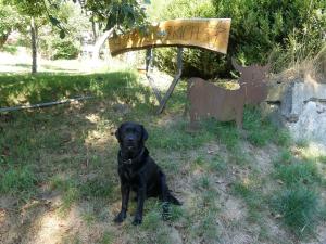 a black dog sitting in the grass next to a sign at Ferienwohnungen Hof Heiderich in Beerfelden +57 photos