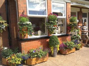 a bunch of flowers in pots on a brick building at South Lodge Guest House in Bridlington
