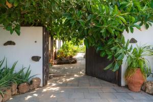 A garden outside Finca Botanico Secret Garden
