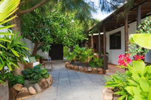 A garden outside Finca Botanico Secret Garden