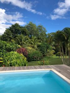 a swimming pool in front of a garden with trees at la case dentelle bungalow in Le Diamant
