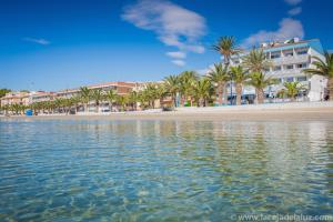 Blick auf einen Strand mit Palmen und Gebäuden in der Unterkunft Hotel Neptuno in San Pedro del Pinatar