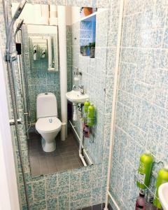 コペンハーゲンにあるCPH Central apt / 60m2のバスルーム(トイレ、洗面台、鏡付)
