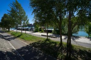 une rue bordée d'arbres sur le bord d'une rivière dans l'établissement Chez Tatiana, à Lyon