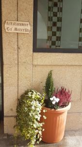 a large pot of plants in front of a building at Affittacamere Cà Marcello in Monselice