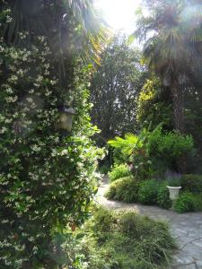 un jardín con una pasarela con plantas y una lámpara en Cuore Verde, en Cavour