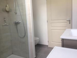 a bathroom with a shower and a toilet and a sink at Gîte "Le Drouzet" in Le Chazal