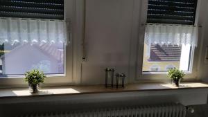 2 fenêtres avec des plantes assises sur un fond dans l'établissement Dachgeschoss35, à Witten