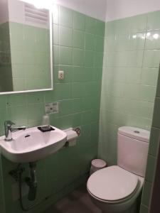 a green bathroom with a toilet and a sink at Hostal La Fosca in Palamós