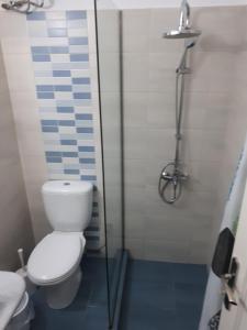 a bathroom with a toilet and a shower at Margarita Studios in Parikia