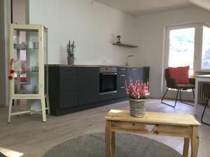 Kuchyň nebo kuchyňský kout v ubytování Erikas Haus
