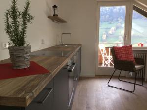 Fotografie z fotogalerie ubytování Erikas Haus v destinaci Münstertal