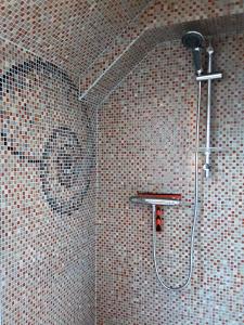 a shower in a bathroom with a tiled wall at L'écurie Kerdoel in Cléder