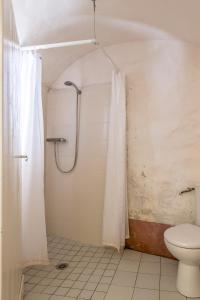 ein Bad mit einer Dusche und einem WC in der Unterkunft La maison d'Angèle in Sainte-Eulalie-du-Cernon