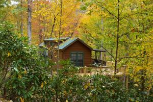 una pequeña cabaña en el bosque con árboles en The Junction, en Robbinsville