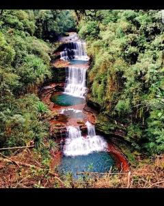een waterval midden in een bos bij Goshen homestay in Cherrapunji