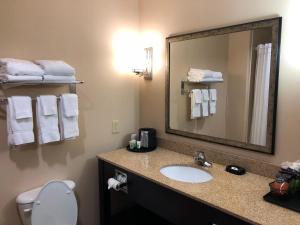Vonios kambarys apgyvendinimo įstaigoje Best Western Plus Goodman Inn & Suites
