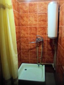 bagno con doccia e servizi igienici di Дача в Буймеровке a Buymerovka