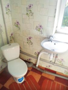 bagno con servizi igienici e lavandino di Дача в Буймеровке a Buymerovka