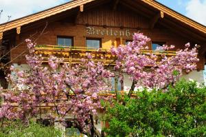 Zahrada ubytování Breitenhof - Haus Breiten