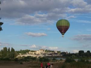 a hot air balloon flying in the sky with people at L'Amboiselyne in Amboise