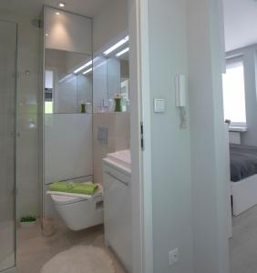 ワルシャワにあるWLR Apartments - Marszalkowskaのバスルーム(トイレ、ガラス張りのシャワー付)