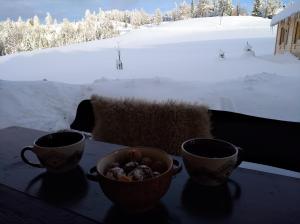 Φωτογραφία από το άλμπουμ του Apartments Čumar σε Cerkno +31 φωτογραφίες