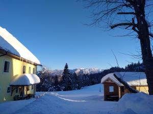 Φωτογραφία από το άλμπουμ του Apartments Čumar σε Cerkno