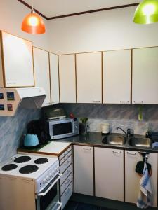 
Кухня или мини-кухня в Apartment on Mayakovskoy
