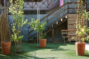 a group of potted trees in pots with a staircase at Puerto Dreams H in Puerto Escondido +29 photos