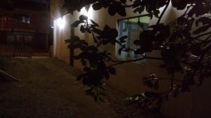 a plant in front of a building at night at Hospedaje TIROL LODGING SPA in San Ramón