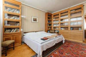 ブダペストにあるVigadó Square Panorama Apartmentのベッドルーム1室(大型ベッド1台、木製の棚付)