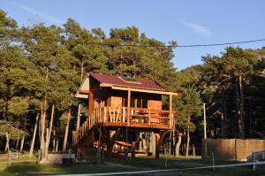 a tree house in the middle of a forest at Cabane des Guernazelles in Valderoure
