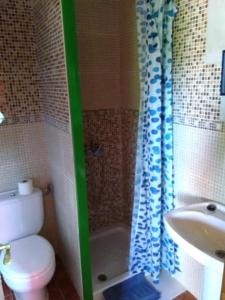 a bathroom with a toilet and a shower and a sink at Casa Rural Las Gesillas in Arenas de San Pedro