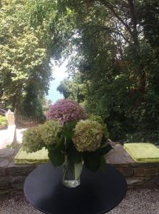 Zahrada ubytování Vergopoulos Oliveyard
