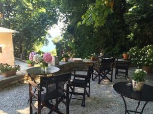 Zahrada ubytování Vergopoulos Oliveyard