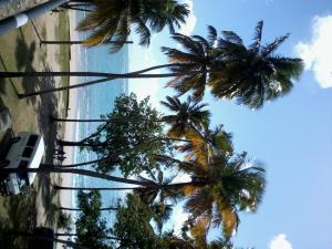 Foto da galeria de Palm View em Laborie