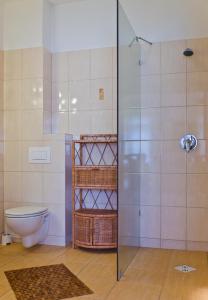 ウストカにあるApartamenty z Klimatemのバスルーム(トイレ、ガラス張りのシャワー付)