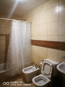 a bathroom with a toilet and a shower and a sink at Givarolif in Salta