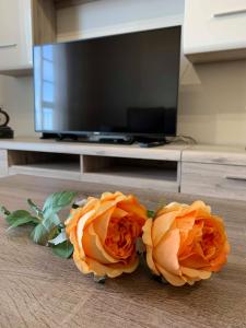 two orange roses on a table in front of a tv at Ilha Atlântico in Caniço