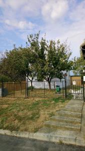 Vonkajšia záhrada v ubytovaní Studio apartman KOTRO