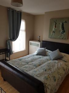 ein Schlafzimmer mit einem großen Bett mit einer Decke in der Unterkunft Derry City center townhouse in Derry Londonderry