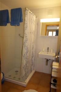 een badkamer met een douche en een wastafel bij Chalet Mack in Brienzwiler