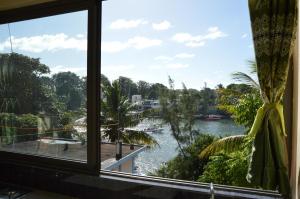 a view of a river from a window at Riverside Holiday Home in Grande Rivière Sud Est