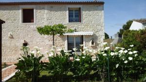 una casa con flores blancas delante de ella en Gite à Sablonceaux pres de de royan et la palmyre, en Sablonceaux
