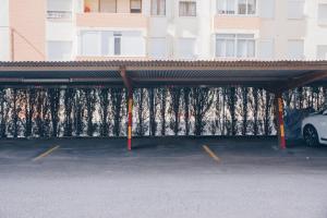 Fotografie z fotogalerie ubytování Madeira v destinaci Benicàssim